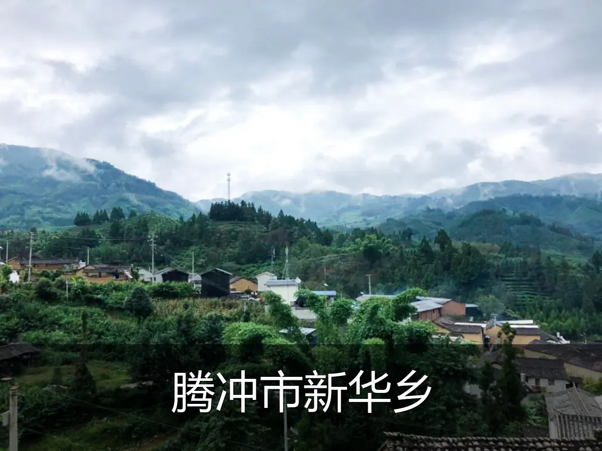 腾冲市新华乡